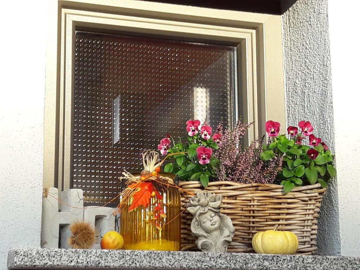 Ferienwohnung Am Gaesschen ลอสไฮม์ ภายนอก รูปภาพ